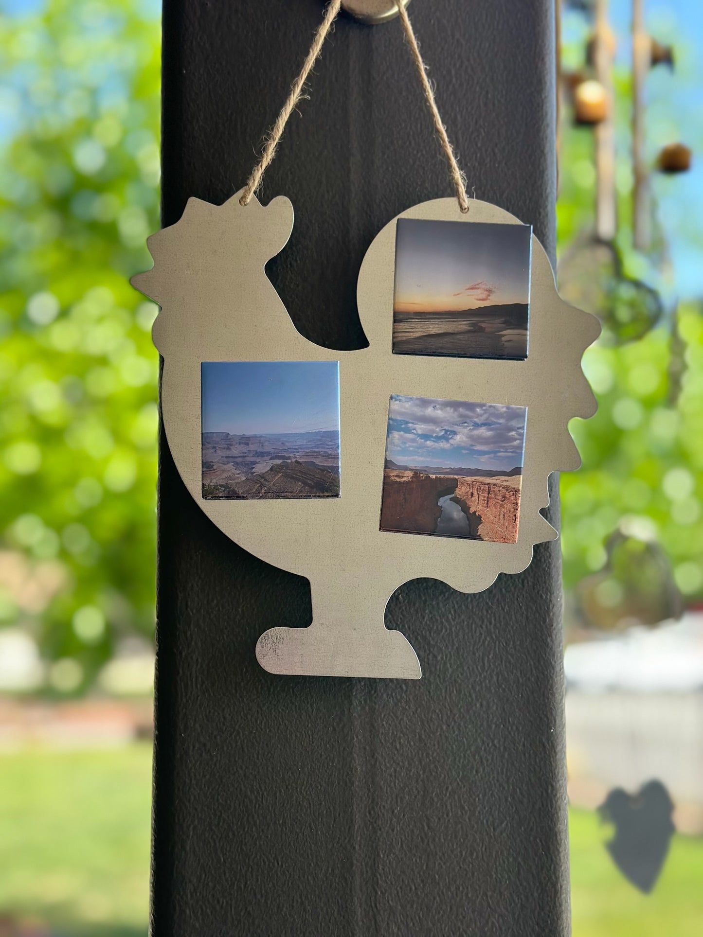 Assorted Magnet Hanger