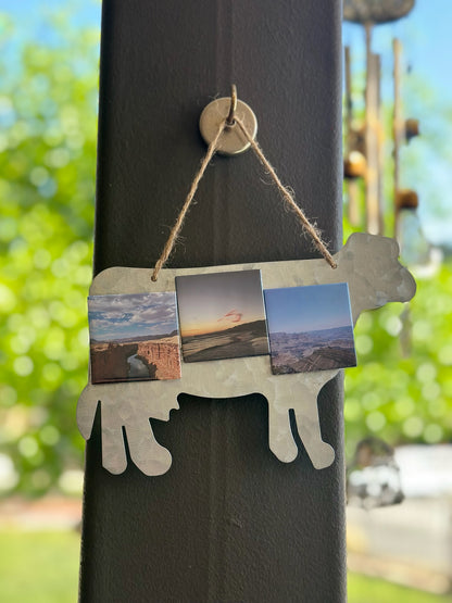 Assorted Magnet Hanger